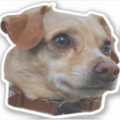 バスター・ステッカー シール (正面)