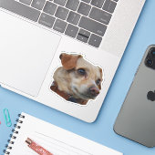 バスター・ステッカー シール (ノートパソコンとiPhone)