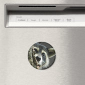 バステッド マグネット (インサイチュ (食洗機))