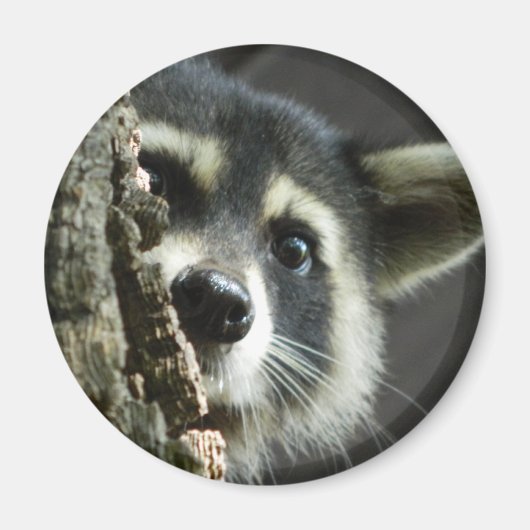 バステッド マグネット (正面)