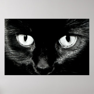 バスト ポスター