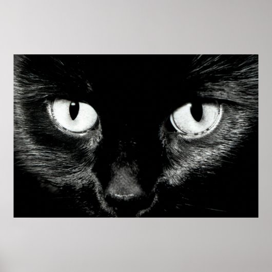 バスト ポスター (正面)