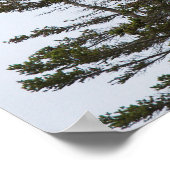 バスハーバーヘッドライトポスター- 3 ポスター (角)