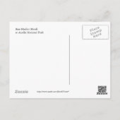 バスハーバーマーシュポストカード ポストカード (裏面)