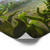 バスフィッシュ ポスター (角)