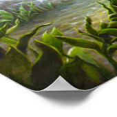 バスフィッシュ ポスター (角)