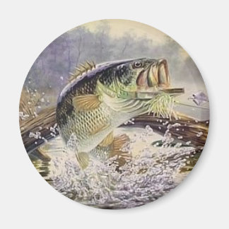 バスフィッシュ マグネット