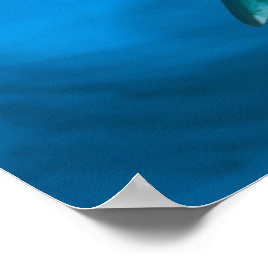 バスポスター ポスター (角)