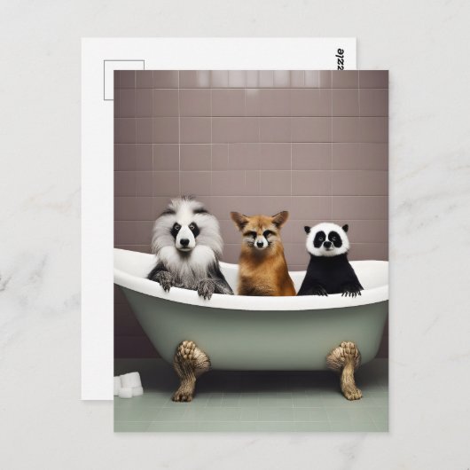 バスルームおもしろいの浴槽に座っている動物 ポストカード (正面/裏面)