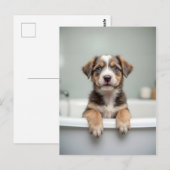 バスルームの面白い犬 ポストカード (正面/裏面)