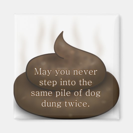 バスルーム賛美ズ：2回のウンチに足を踏み入れない マグネット (正面)