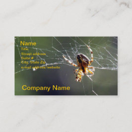 バス。 カード-くもの巣のくも 名刺