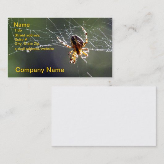バス。 カード-くもの巣のくも 名刺 (正面/裏面)