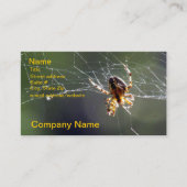 バス。 カード-くもの巣のくも 名刺 (正面)