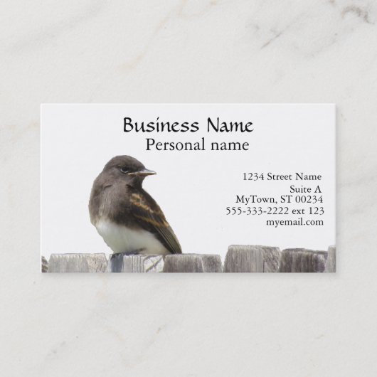 バス。カード – フェンス上の鳥 名刺 (正面)