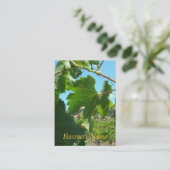 バス。カード-ブドウつる植物 名刺 (スタンド正面)