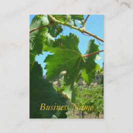 バス。カード-ブドウつる植物 名刺