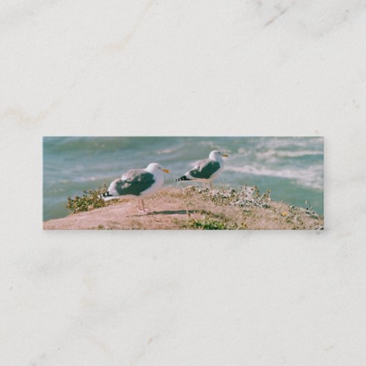 バス。カード – 崖の上のカモメ スキニー名刺 (正面)