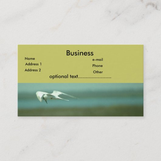 バス。カード – Tern 名刺 (正面)