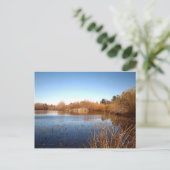 バス・ポンド・ワン ポストカード (スタンド正面)