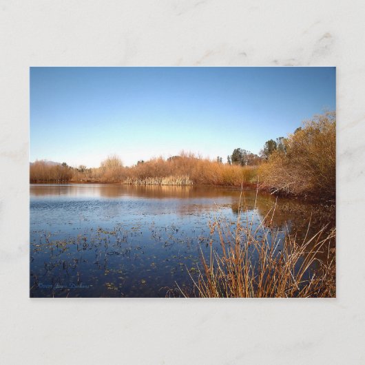 バス・ポンド・ワン ポストカード (正面)