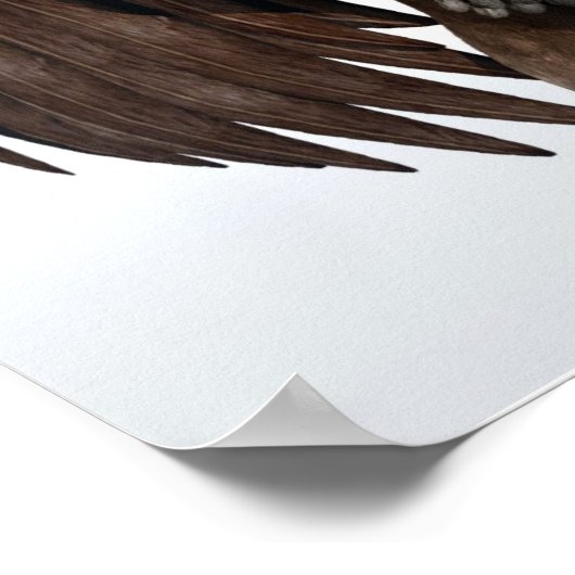 バズおもしろいードの鳥「何を見ているの?」 ポスター (角)