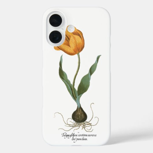 バズィリウス・ベスラーによるヴィンテージ春の黄色のチューリップの花 Case-Mate iPhoneケース (裏面)