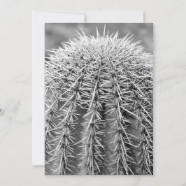 バズカットサボテン（AZソノラン砂漠）招待状 招待状