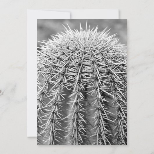 バズカットサボテン（AZソノラン砂漠）招待状 招待状 (正面)