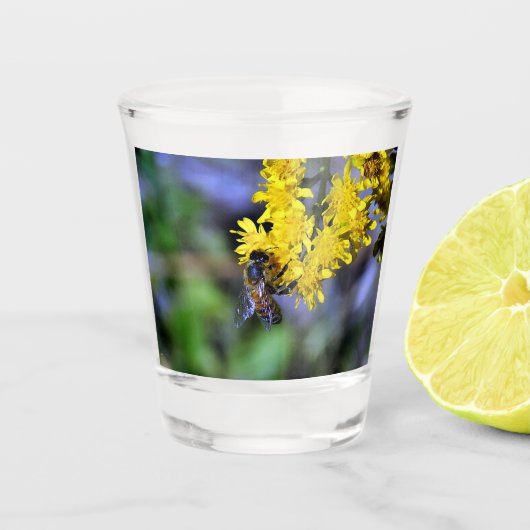 バズビー ショットグラス (正面)