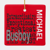 バズボーイエクストラナレカスタムルオーナメント セラミックオーナメント (裏面)