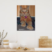 バズ猫ポスターを尊重 ポスター (キッチン)