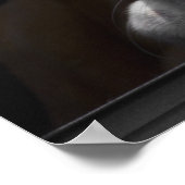 バセットの犬が頭を休めている ポスター (角)