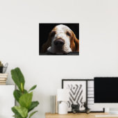 バセットの犬が頭を休めている ポスター (ホームオフィス)