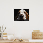 バセットの犬が頭を休めている ポスター (キッチン)