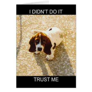 バセットの猟犬カード