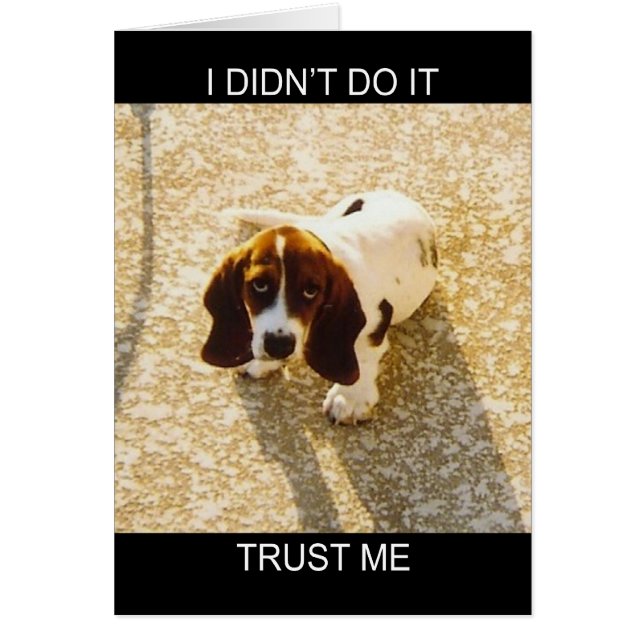 バセットの猟犬カード (正面)