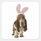 バセットはバニーの耳で満ちている スクエアシール (正面)