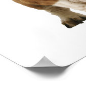 バセットはバニーの耳で満ちている ポスター (角)