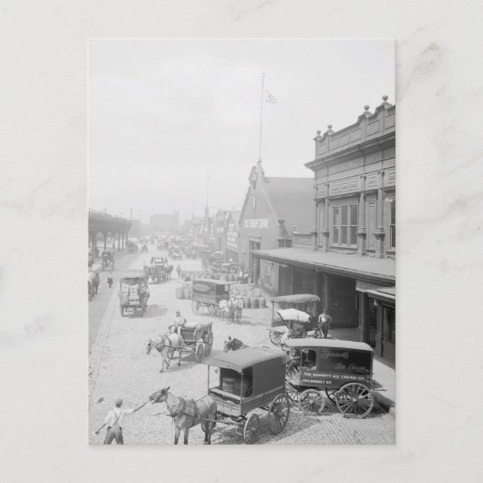 バセットアイスクリーム ポストカード (正面)