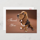 バセットハウンドのご挨 ポストカード (正面/裏面)