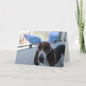 バセットハウンドのイースターカード シーズンカード (正面)