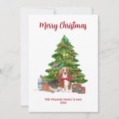 バセットハウンドのクリスマス シーズンカード (正面)