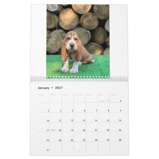バセットハウンドの子犬のカレンダー カレンダー (1月 2027)