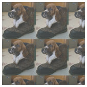 バセットハウンドの子犬の生地 ファブリック (見本)
