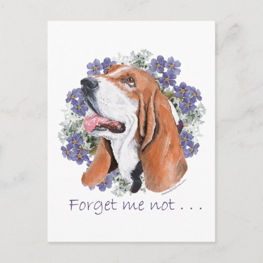 バセットハウンドの思い出 ポストカード (正面)