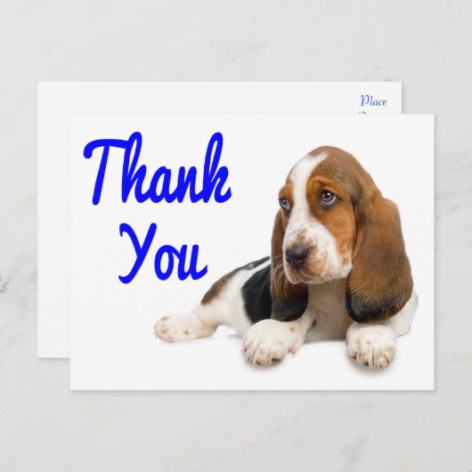 バセットハウンドの挨拶状のはがきをありがとう ポストカード (正面/裏面)