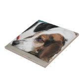 バセットハウンドの顔のタイル タイル (側面)