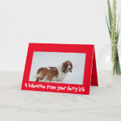 バセットハウンドを持つ犬からのバレンタイン シーズンカード (正面)