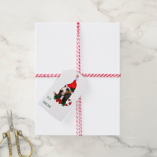 バセットハウンドギフトラベル ギフトタグ (より糸付き)